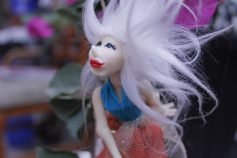 Miniature Fairy Garden